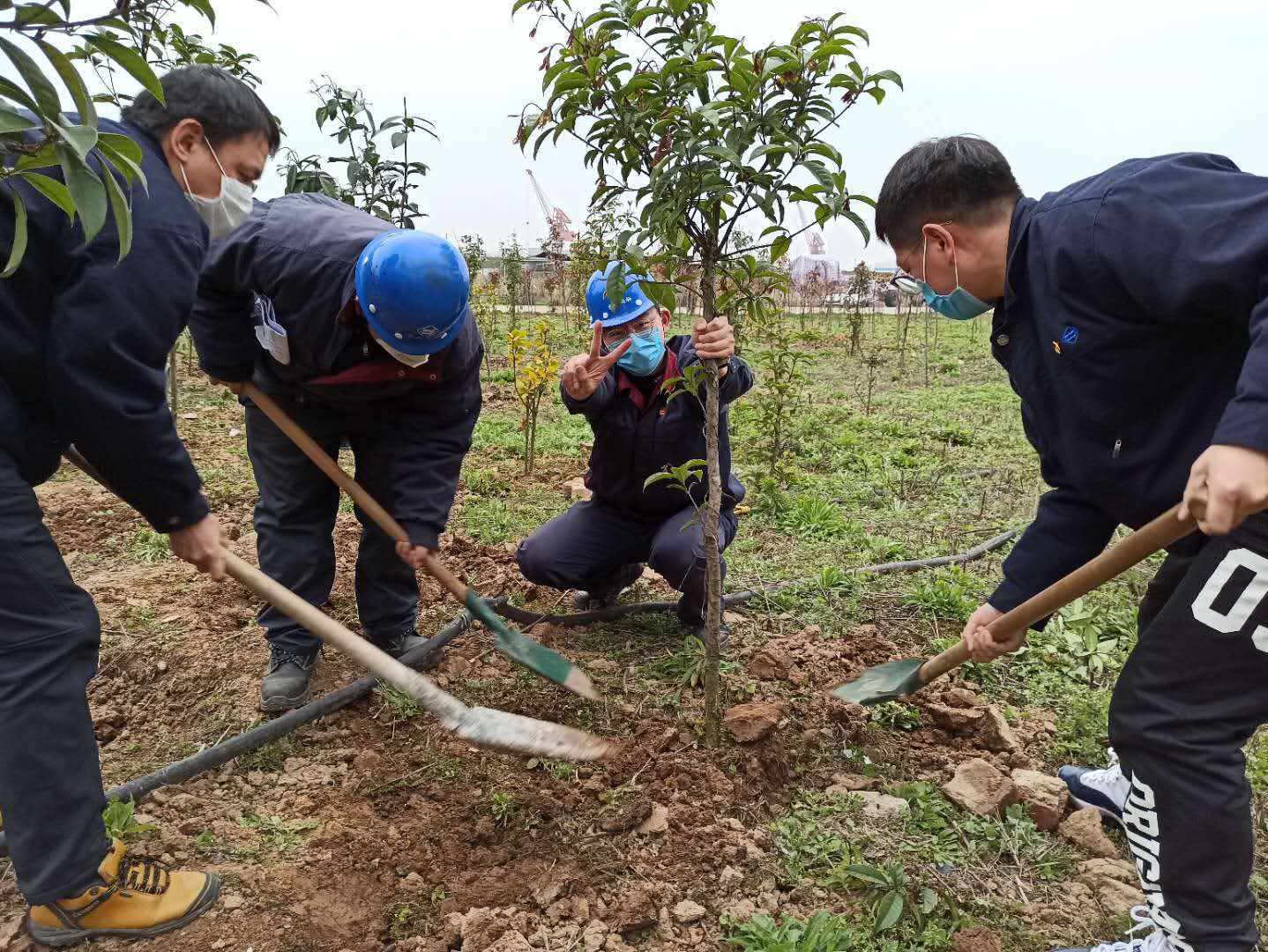 1584066721513563.jpg 1584066721513563.jpg